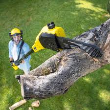 Trusted Decatur, MS Tree Removal and Landscaping Services Experts